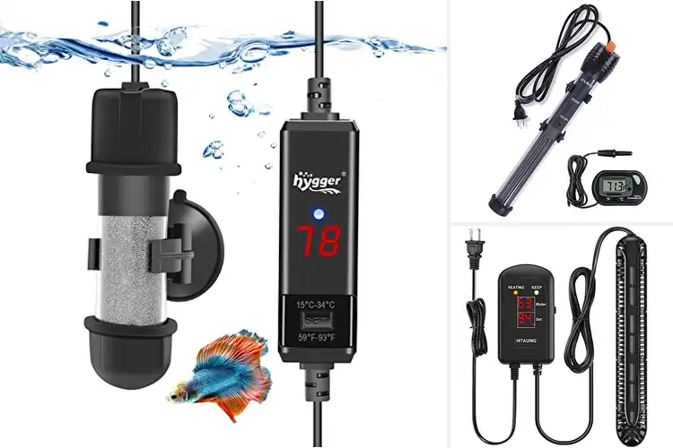 Detailed view of Best Aquarium Heaters