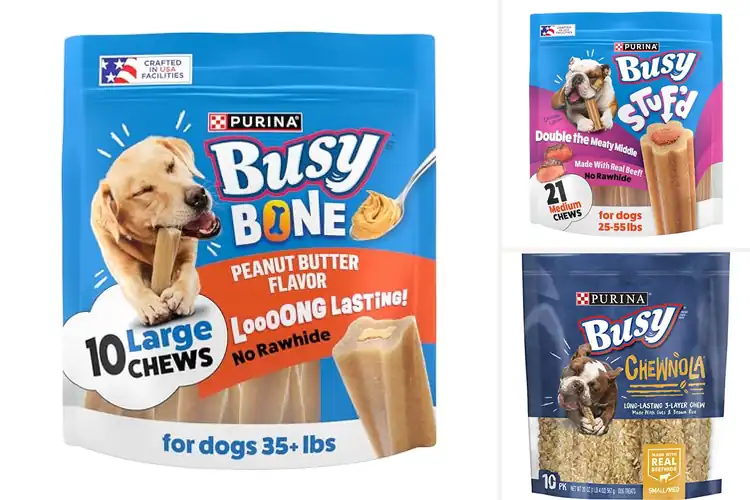 Detailed view of Best Busy Dog Treats: 10 Top Picks for Happy, Engaged Pups