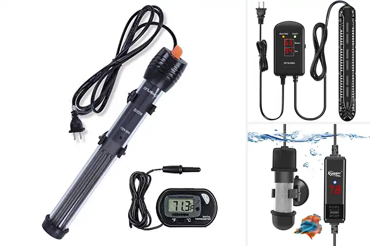 Detailed view of Best Fish Tank Heaters