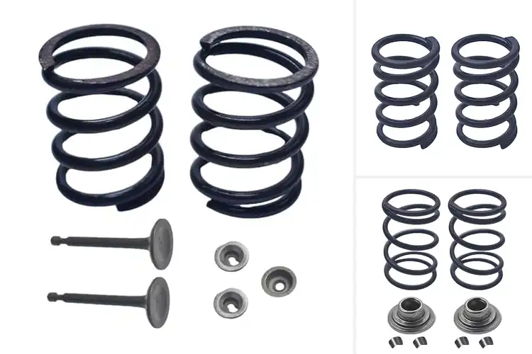 Detailed view of Best Honda GX Valve Springs