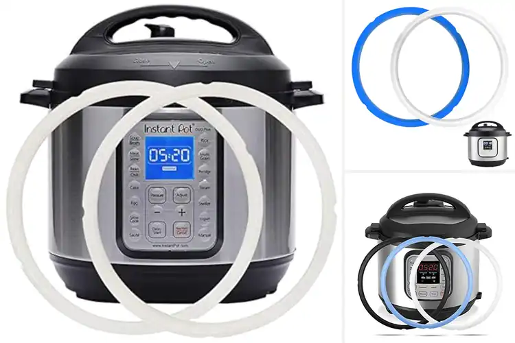 Detailed view of Best Instant Pot Seal Rings