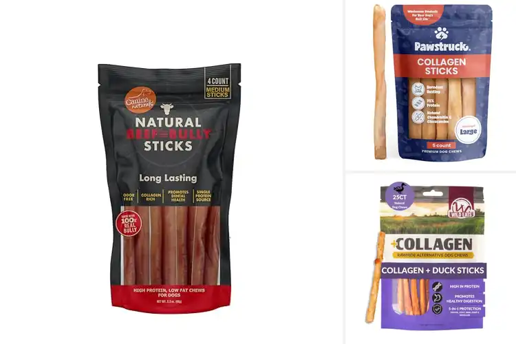 Detailed view of Best Long-Lasting Chews for Happy Dogs