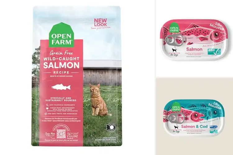 Detailed view of Best Responsibly Sourced Salmons