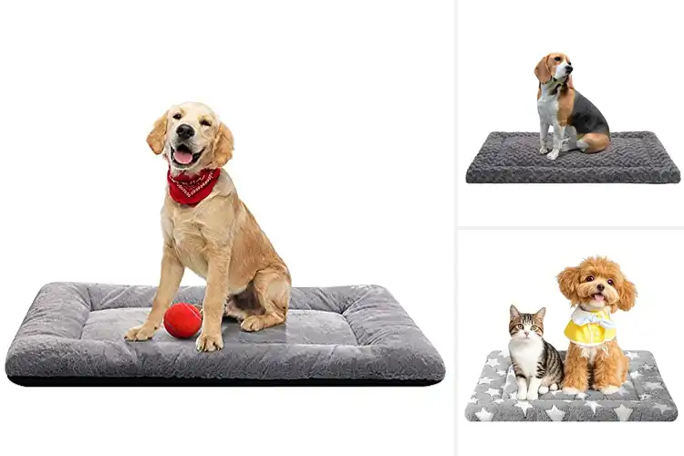 Detailed view of Best Seasonal Dog Crate Pads